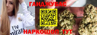 Альфа ПВП Ставрополь