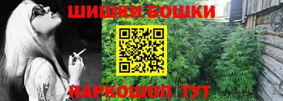 Альфа ПВП Ставрополь